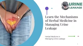 Learn the Mechanisms of Herbal Medicine in Managing Urine Leakage