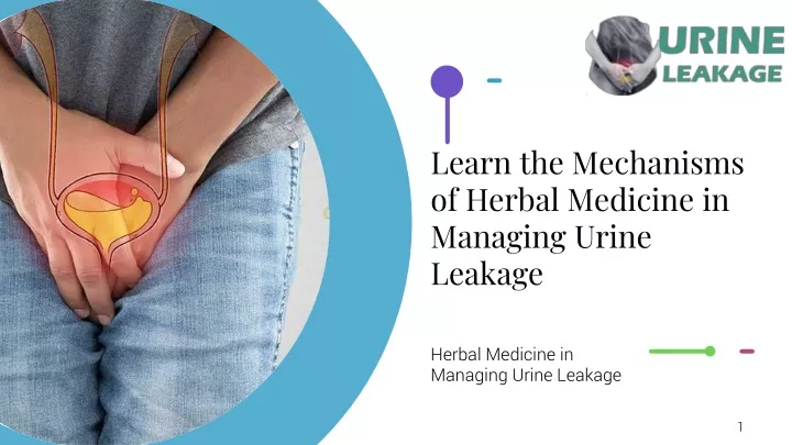 learn the mechanisms of herbal medicine in managing urine leakage