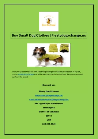 Buy Small Dog Clothes | Fiestydogxchange.us