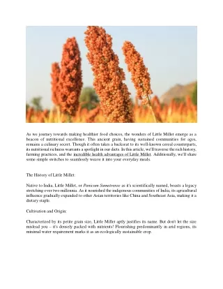 Nutritional Benefits of Little Millet_ A Healthier Choice for Your Plate (1)