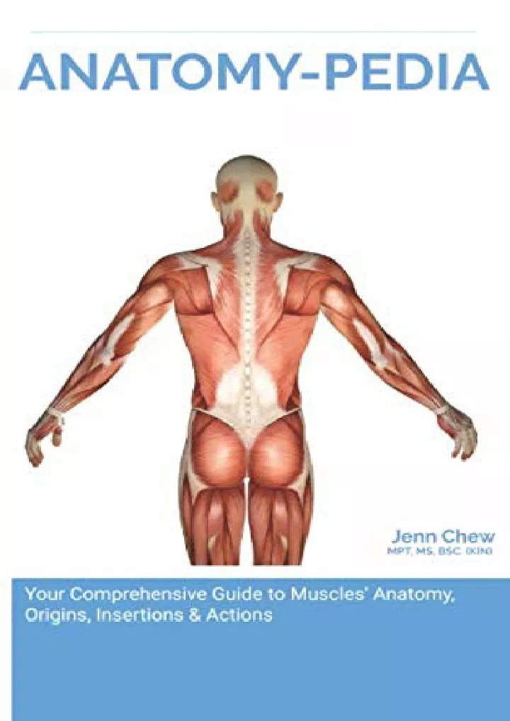 anatomy pedia your comprehensive pocket guide