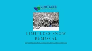 limitless snow removal
