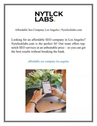 Affordable Seo Company Los Angeles Nytelocklabs