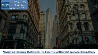 Barnhart Economic Consultancy - Expert Economic Analysis and Strategic Solutions