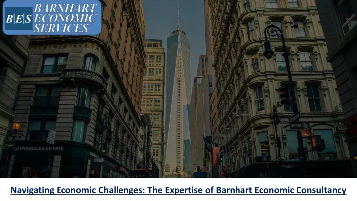 navigating economic challenges the expertise