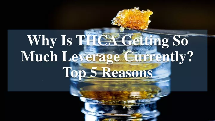 why is thca getting so much leverage currently top 5 reasons