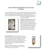 Enhance Visibility with High Brightness LCD and Bar Type LCD Displays - slide 1