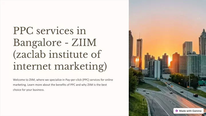 ppc services in bangalore ziim zaclab institute