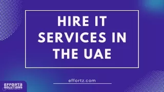 Hire IT Services in The UAE