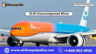 klm unaccompanied minor