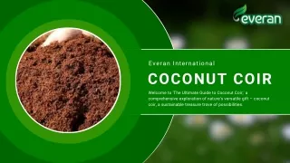 Organic Coconut coir - Everan International