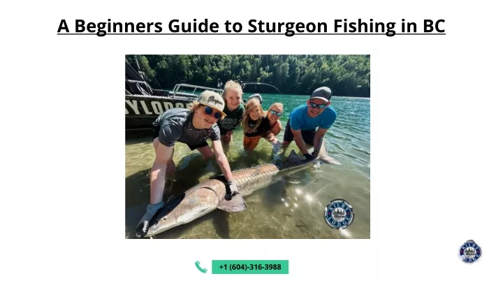a beginners guide to sturgeon fishing in bc