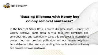 "Buzzing Dilemma with Honey bee colony removal santarosa"