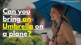 Can you bring an Umbrella on a plane
