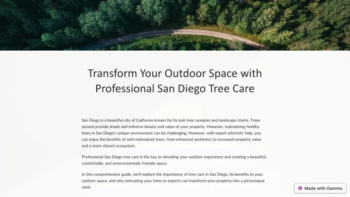 transform your outdoor space with professional