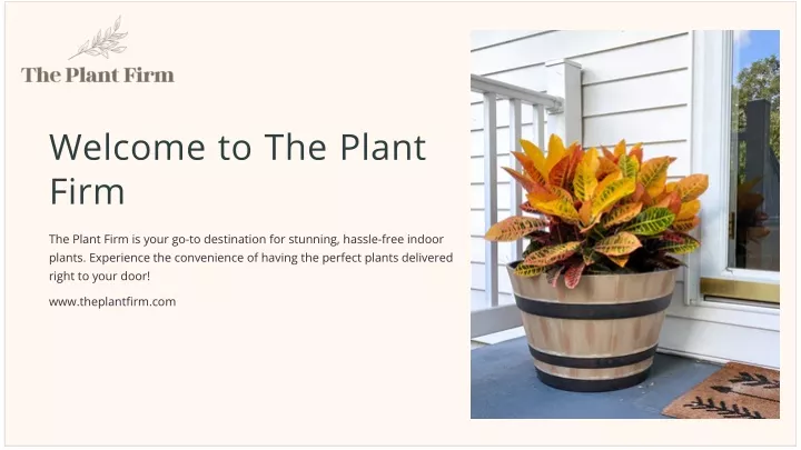 welcome to the plant firm