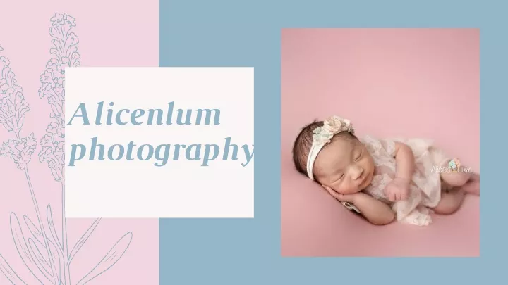 alicenlum photography