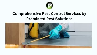 Comprehensive Pest Control Services by Prominent Pest Solutions