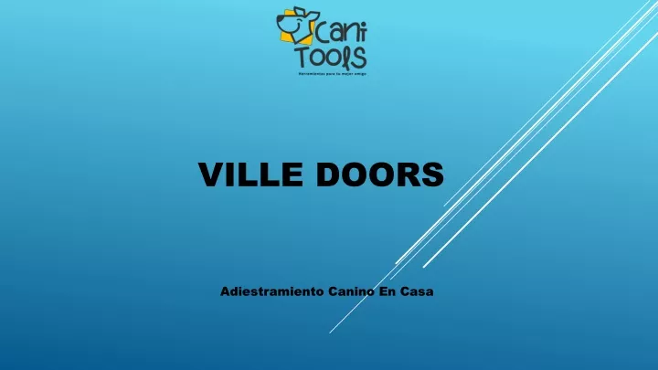 ville doors