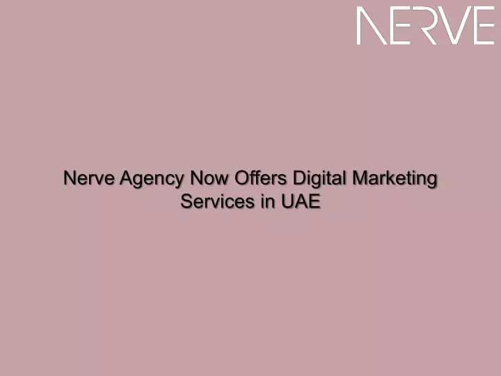 nerve agency now offers digital marketing