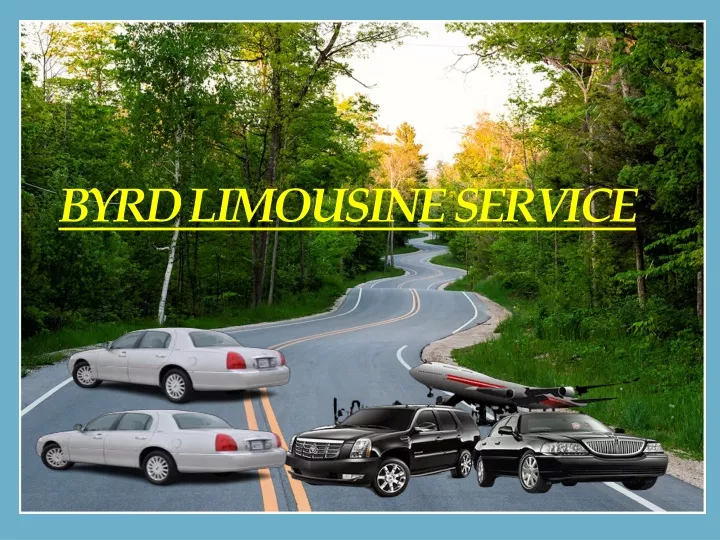 byrd limousine service