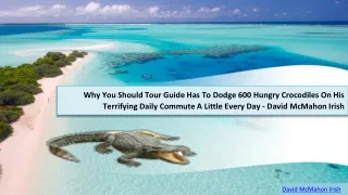 Why You Should Tour Guide Has To Dodge 600 Hungry Crocodiles On His Terrifying Daily Commute A Little Every Day - David