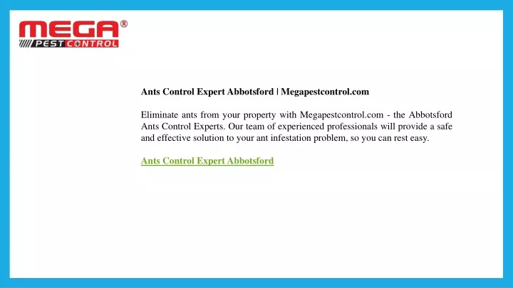 ants control expert abbotsford megapestcontrol