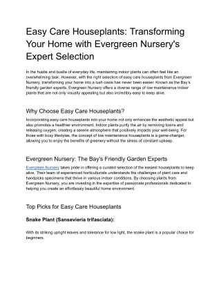 Easy Care Houseplants_ Transforming Your Home with Evergreen Nursery's Expert Selection