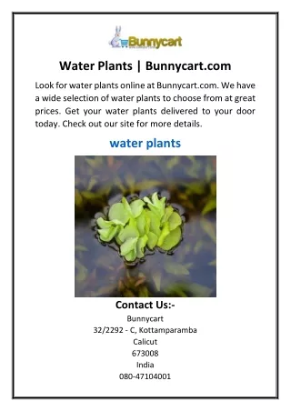 Water Plants  Bunnycart.com