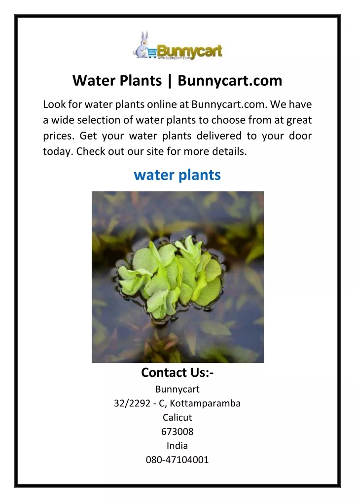 water plants bunnycart com