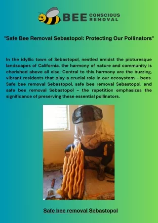 "Safe Bee Removal Sebastopol: Protecting Our Pollinators"