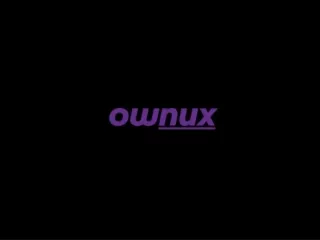 Ownux global Oct 2023