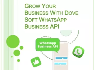 Dove Soft WhatsApp Business API