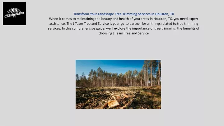transform your landscape tree trimming services