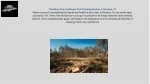Tree Trimming service in houston tx. - slide 1