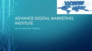 Advance digital marketing institute