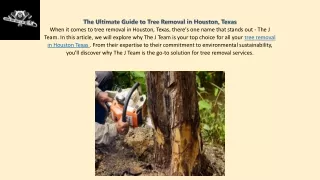 Tree removal  Services in Houston