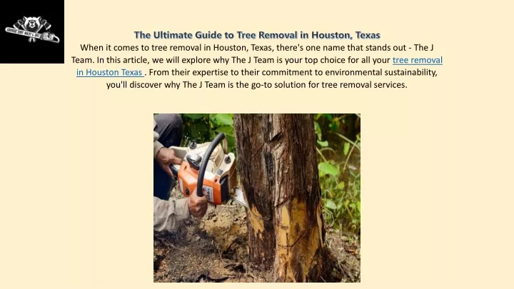 the ultimate guide to tree removal in houston