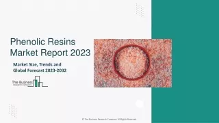 phenolic resins market report 2023