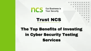 The Top Benefits of Investing in Cyber Security Testing Services