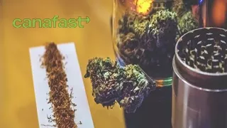 Experience Best Same Day Delivery Weed in Ottawa