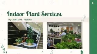 Indoor Plant Services by Coast Live Tropicals