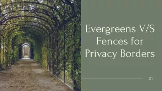 Evergreens VS Fences for Privacy Borders