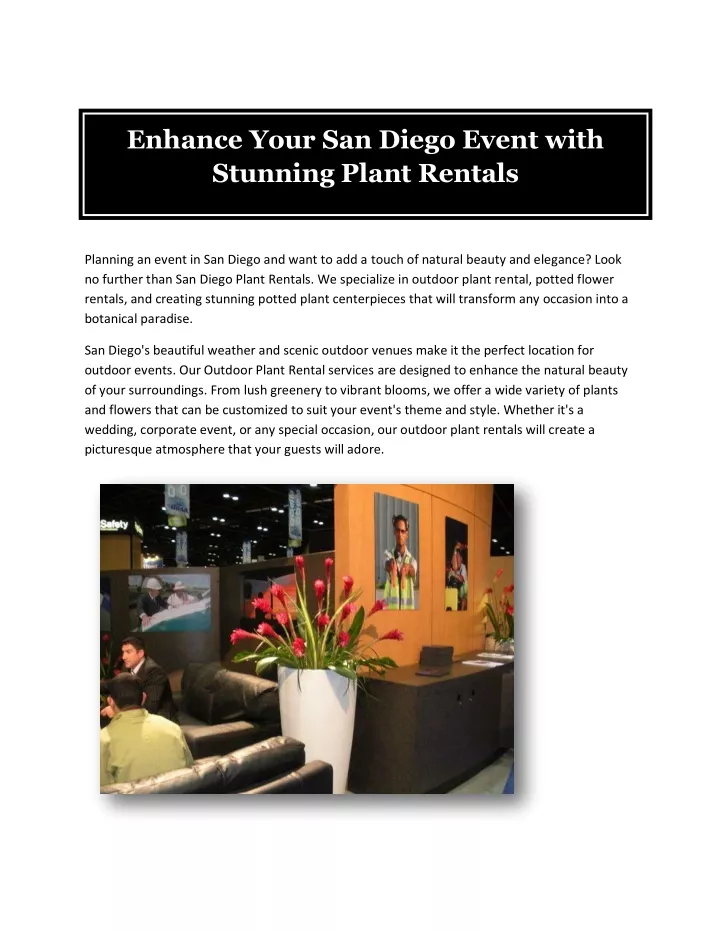 enhance your san diego event with stunning plant