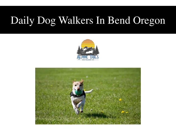 daily dog walkers in bend oregon