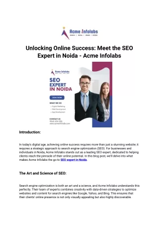 Unlocking Online Success Meet the SEO Expert in Noida - Acme Infolabs