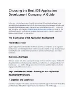 iOS Application Development Company - slide 1