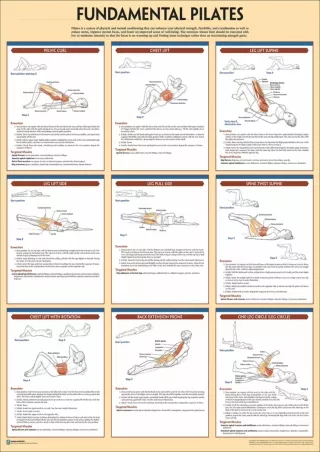 PDF/READ/DOWNLOAD Fundamental Pilates (Anatomy) read