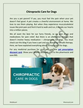 Chiropractic Care for Dogs