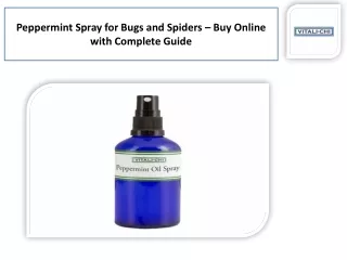 The Best Peppermint Spray for Spiders and Peppermint Spray for Bugs